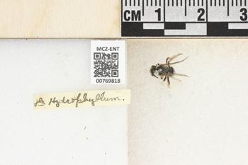Media type: image;   Entomology 769818 Aspect: Labels